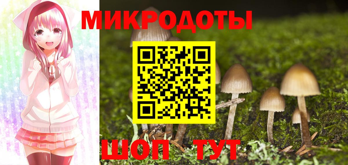 Галлюциногенные грибы Psilocybe  купить наркоту  Мичуринск  Вход с VPN 